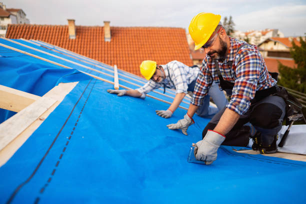 Best Roof Gutter Cleaning  in Bishop, TX